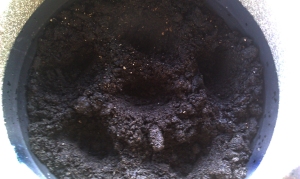 shallow holes in the soil